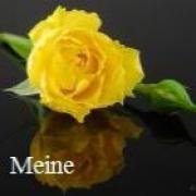 tarotisten.nl - tarotist Meine